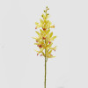 ORQUÍDEA CYMBIDIUM - 70cm